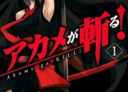 Sinopsis Akame ga Kill! – Pertarungan Melawan Ketidakadilan