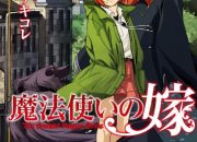 Sinopsis Mahoutsukai no Yome: Perjalanan Chise Hatori ke Dunia Magis