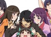 Sinopsis Monogatari Series: First Season